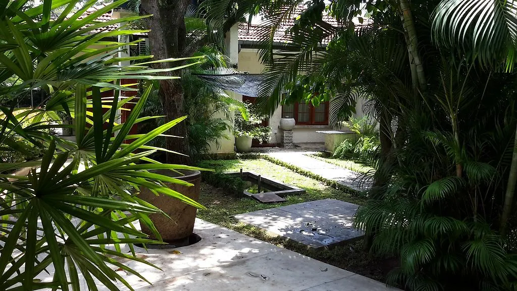 Lodge 19 Negombo